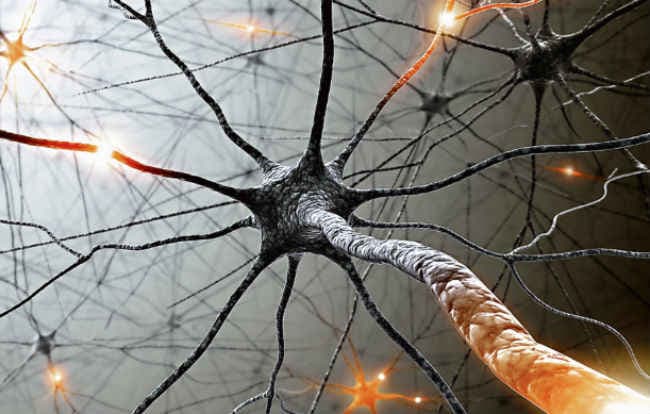 3डी प्रिंटिंग से संभव हुआ नर्व रीजेनरेशन