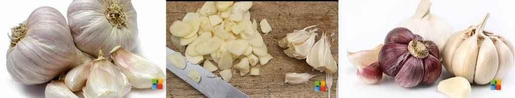 लड़कियों को लुभाना है तो लहसुन खाइए...