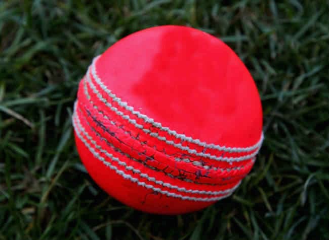 गुलाबी गेंद के साथ होगा टेस्ट क्रिकेट में नये युग का सूत्रपात