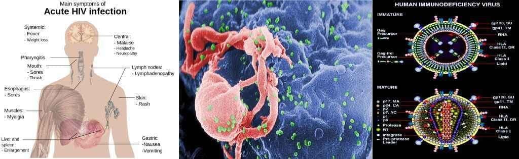 विश्व एड्स दिवस: जागरूकता ही बचाव है.