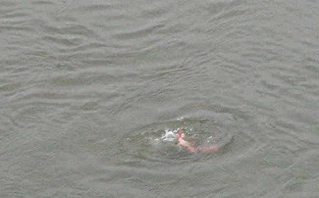 एम्स की दाई से दुष्कर्म का प्रयास, नहर में लगायी छलांग, मौत