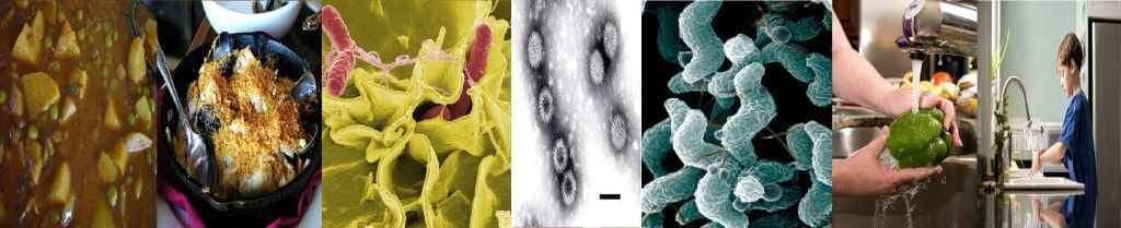 खाने से होती हैं सबसे ज्यादा मौतें...