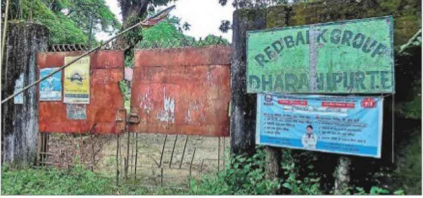 चाय बागान : चाय की चुस्कियों में दबी श्रमिकों की सिसकी