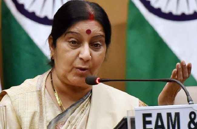 वित्तीय सहायता रोकने से भारत चिंतित नहीं: सुषमा