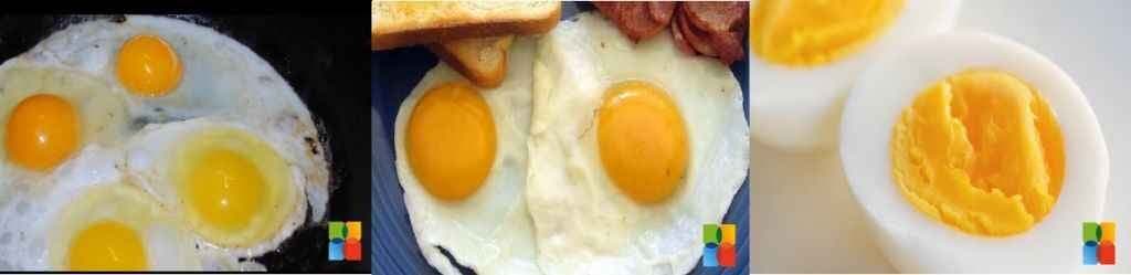 क्यों खाना चाहिए अंडे का पीला भाग?