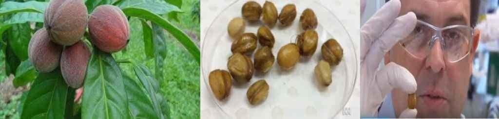 अद्भुत खोज- कैंसर का इलाज अब मिनटों में!