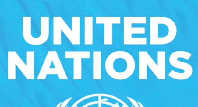 माली में संयुक्तराष्ट्र के जंगी हेलीकॉप्टर के हमले में मारे गए विद्रोही