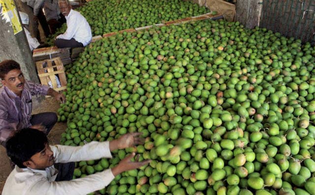 यूरोप में फिर से बिकेंगे भारतीय आम, प्रतिबंध हटाने का लिया फैसला