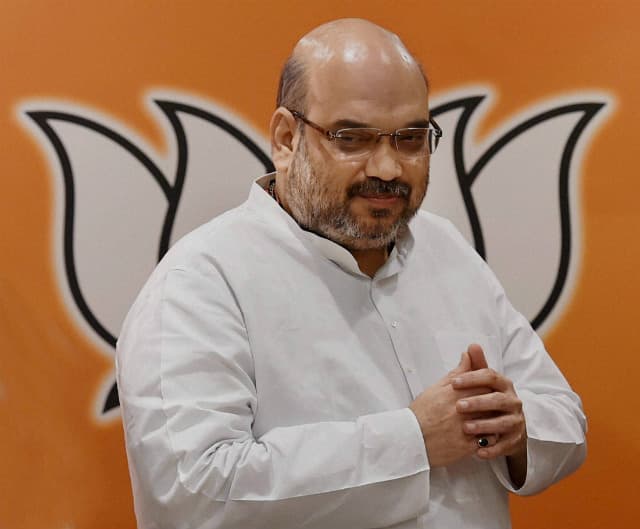 दिल्ली विधानसभा चुनाव : शाह ने नेताओं को लगायी फटकार, कहा - उत्साह व तालमेल से चुनाव में लगें