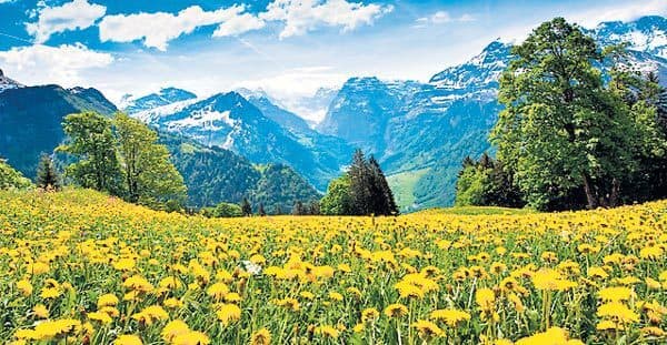 बूंदता बिलैहैं बूंद बिबस बिचारी की