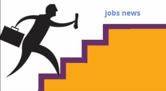 JOB 2020 : आइटी सेक्टर में बढ़ रही है रोजगार की संभावनाएं