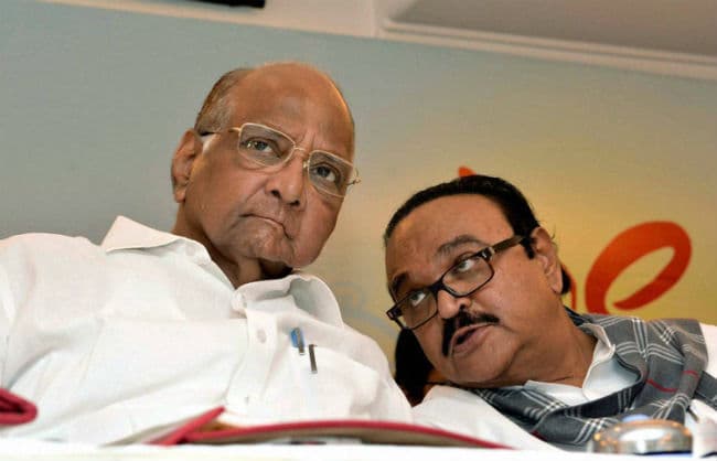 शरद पवार लडेंगे बीसीसीआई चुनाव!