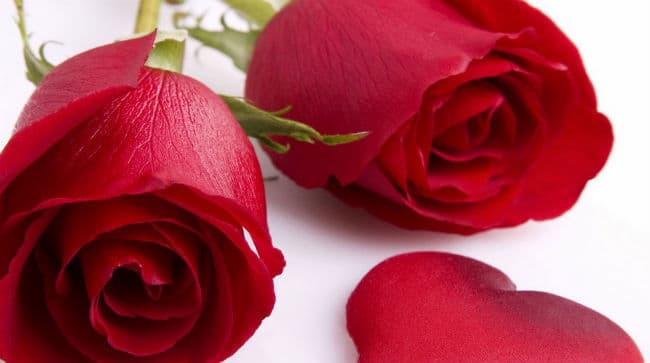 वैलेंटाइन डे पर LOVERS को राहत, हिंदुत्व ब्रिगेड 14 फरवरी को बनायेगा यादगार