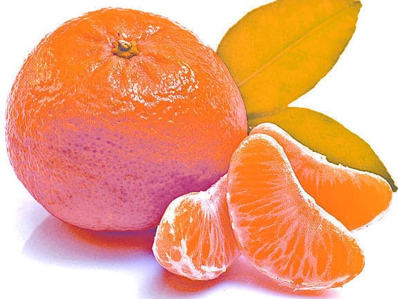 गुणकारी संतरा