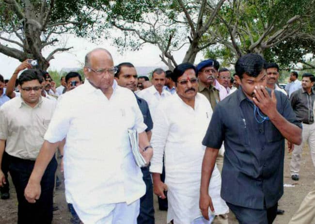 पवार ने बीसीसीआई चुनाव लड़ने से किया इनकार