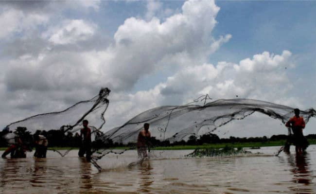 श्रीलंकाई मछुआरों के हाथों अगवा भारतीय रिहा