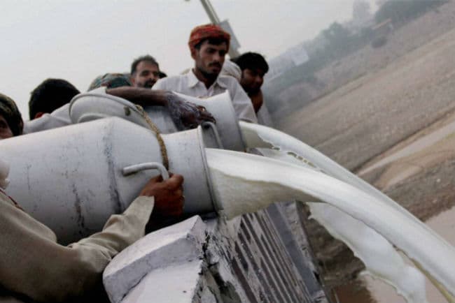 एशिया की दूध की मांग छह साल में बढकर 32 करोड टन हो जाएगी