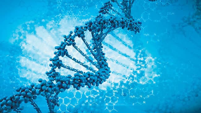 ‘जीन’ से निर्धारित होता है इंसान का संपूर्ण जीवन!