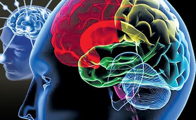 दिमाग टेक्स्ट और इमेज से सीखता है तकनीकी कॉन्सेप्ट