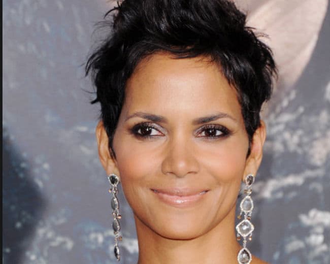 घरेलू हिंसा देखकर टूट गयी थी : हैले बेरी