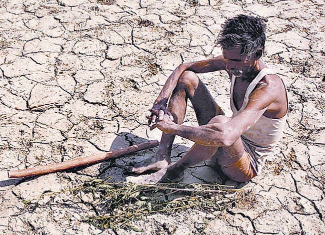 किसानों की आत्महत्या पर चेते सरकार