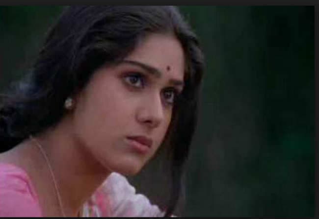 मीनाक्षी शेषाद्री घायल वंस अगेन से रूपहले पर्दे पर करेंगी वापसी