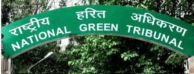 दिल्‍ली में रहने वालों से पर्यावरण मुआवजा वसूलेगा NGT