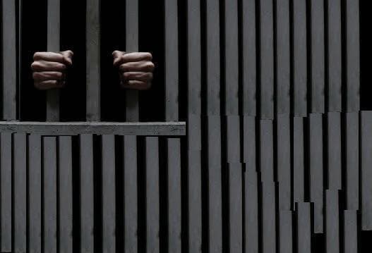 बंगाल में कैदियों को मिलेगी वीडियो कांफ्रेंसिंग की सुविधा