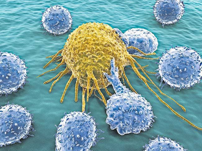 तीन हफ्तों में खत्म हो सकेगा कैंसर