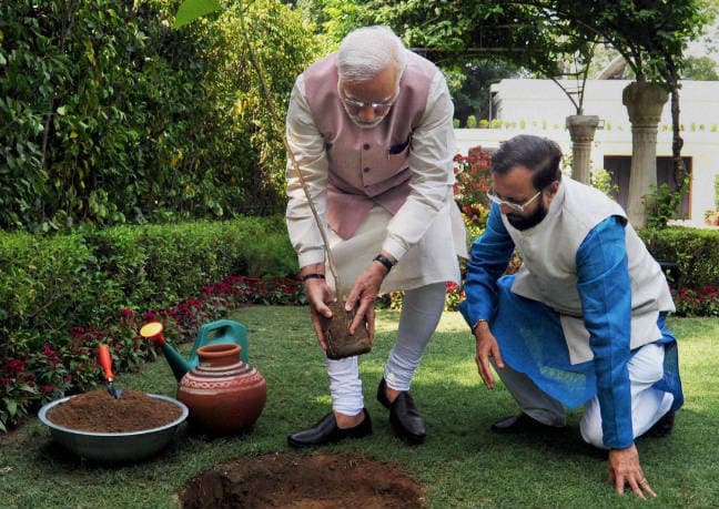 PM नरेंद्र मोदी ने पर्यावरण दिवस पर ''कदंब'' का पौधा लगाया कहा, अपने लगाये वृक्षों पर करें गर्व