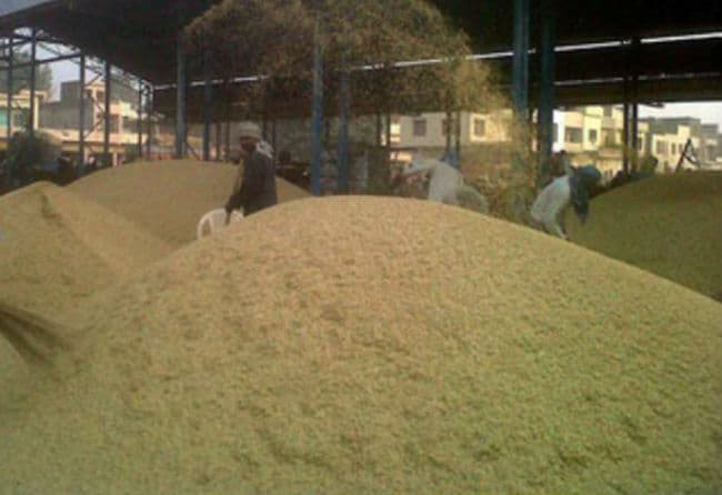 धान का न्यूनतम समर्थन मूल्य 1,410 रुपये प्रति क्विंटल तय, 50 रुपये की बढ़ोतरी