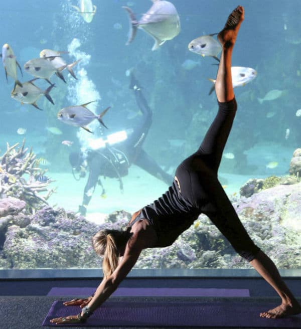 योग करने वाले कैदियों को सजा में छूट की घोषणा पर कांग्रेस भडकी