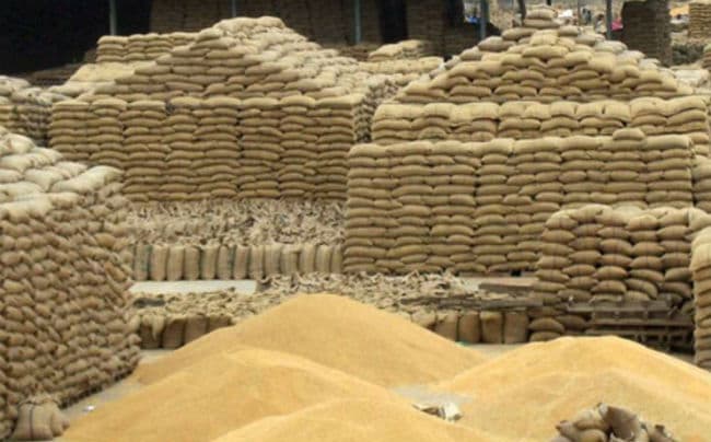 सरकार गेहूं पर लगा सकती है 10 प्रतिशत का आयात शुल्क