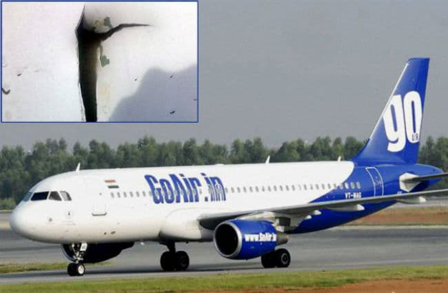 गोएयर का विमान चेन्नई हवाई अड्डे पर एयरोब्रिज से टकराया