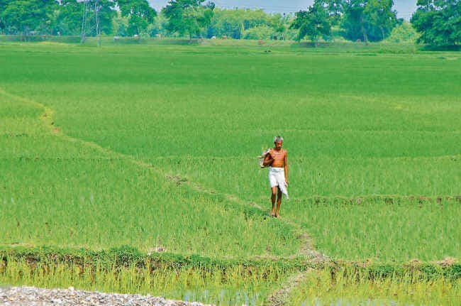 खेती का खेल निराला मेरे भइया