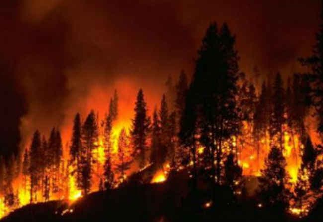 वाशिंगटन के जंगलों में लगी आग इतिहास की सबसे भीषण आग