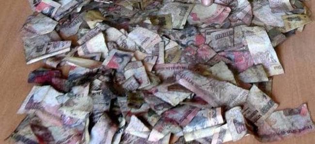 अधिक नियम -कानून से बढ़ता है भ्रष्टाचार, नोटबंदी से ज्यादा फायदा नहीं : अर्थशास्त्री