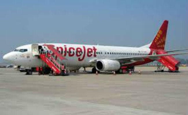 स्पाइसजेट का वार्षिकी सेल शुरू, ऑफर टिकट  737 रुपये