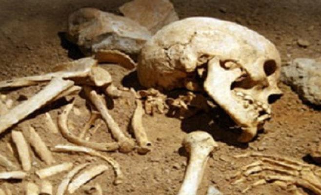 एसकेएमसीएच में मानव कंकाल का अवैध व्यापार का भंडाफोड़