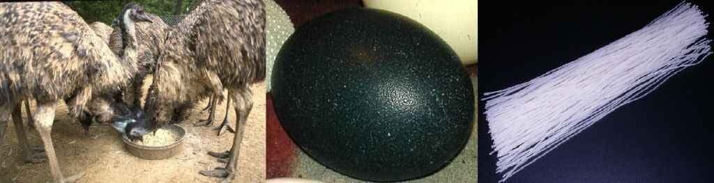 अब लीजिए अंडे से बने नूडल्स...