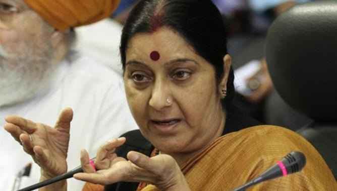 तेल बुनियादी ढांचा तैयार करने के लिए भारत-अफ्रीका हो सकते हैं भागीदार : सुषमा