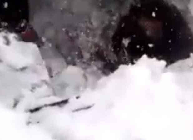 फरजी है सोशल मीडिया पर वायरल सियाचिन का वीडियो!