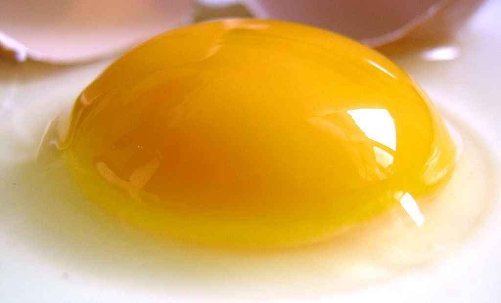 हेल्दी हार्ट के लिए ‘एक अंडा’ रोज: रिसर्च