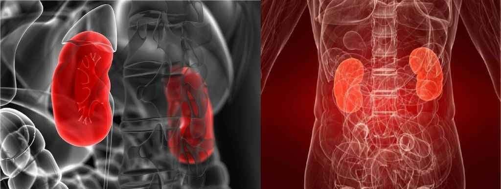 किडनी को बचाने के लिए बीपी-ब्लड शुगर को रखें कंट्रोल