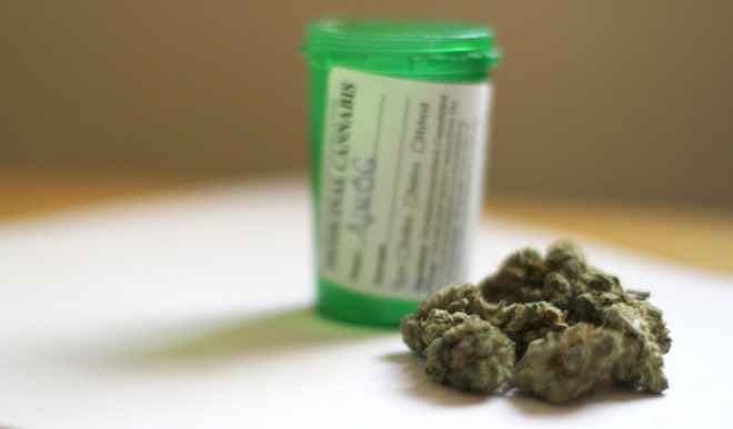 सिर्फ नशा नहीं अब दवा भी बनेगी भांग