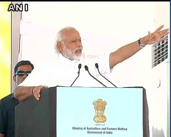 आय बढ़ाने के लिए खेती में विविधता, डेयरी क्षेत्र पर ध्यान दें किसान : प्रधानमंत्री