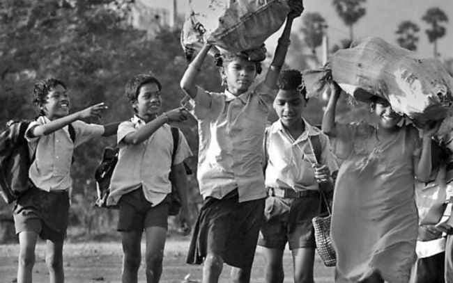 सरकारी स्कूल और नक्सलवाद