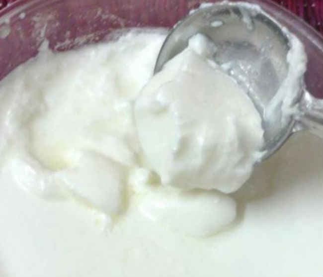दही खाने से मजबूत होता है इम्यून सिस्टम