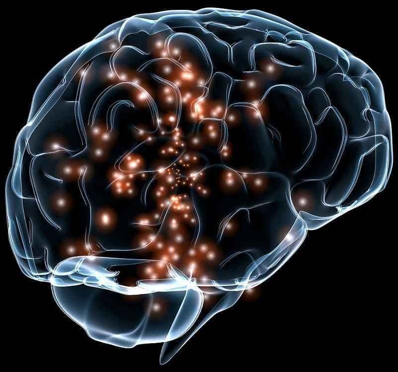 जानिए, कैसे याद करते हैं आप सारी बातें!