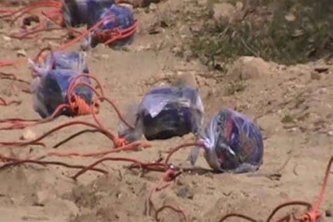 कब्रिस्तान से बड़ी संख्या में बम बरामद